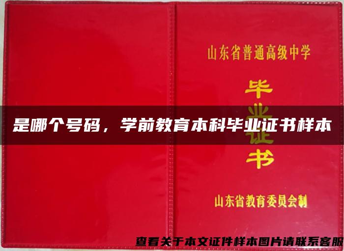 是哪个号码，学前教育本科毕业证书样本