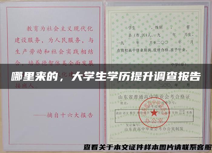 哪里来的，大学生学历提升调查报告