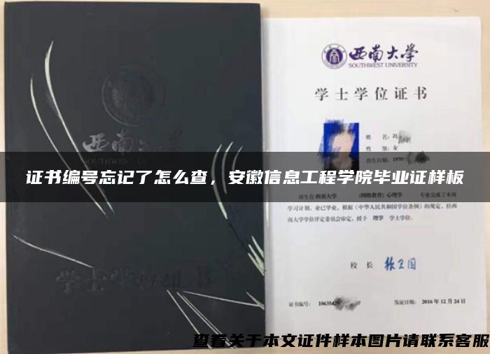 证书编号忘记了怎么查，安徽信息工程学院毕业证样板