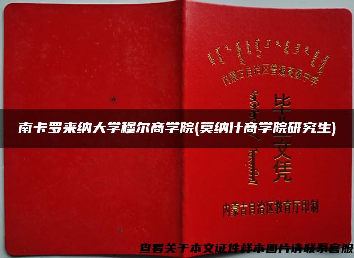 南卡罗来纳大学穆尔商学院(莫纳什商学院研究生)