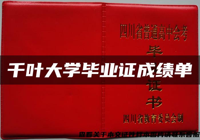 千叶大学毕业证成绩单