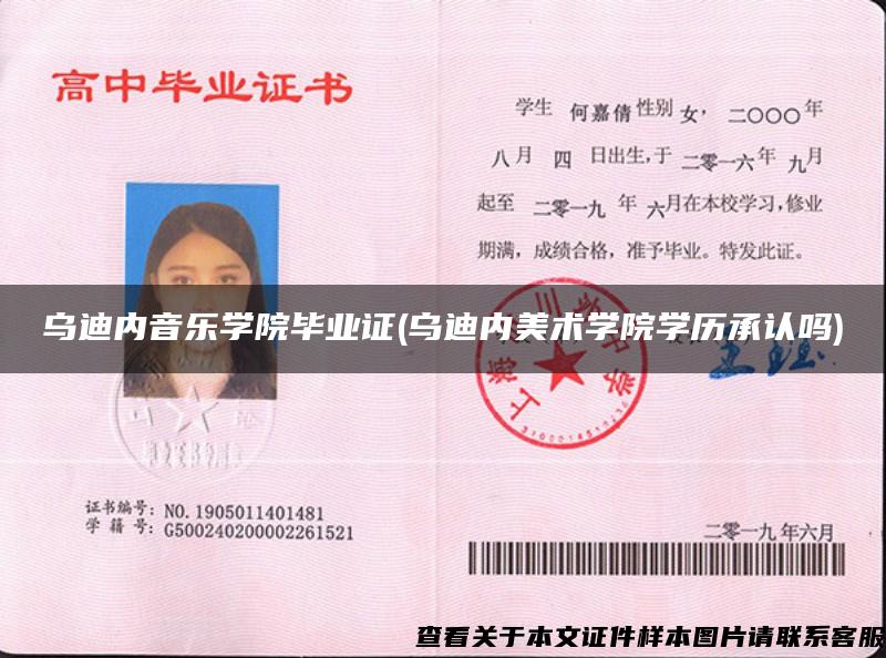 乌迪内音乐学院毕业证(乌迪内美术学院学历承认吗)