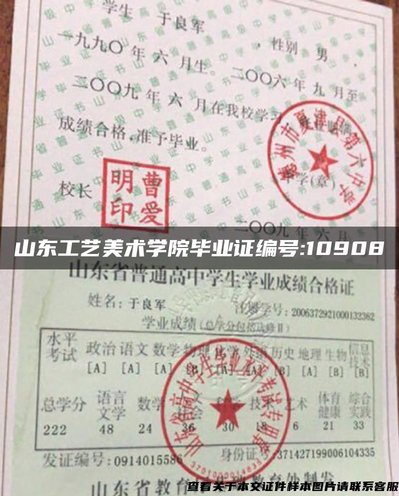 山东工艺美术学院毕业证编号:10908