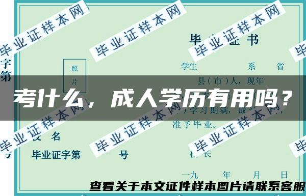 考什么，成人学历有用吗？