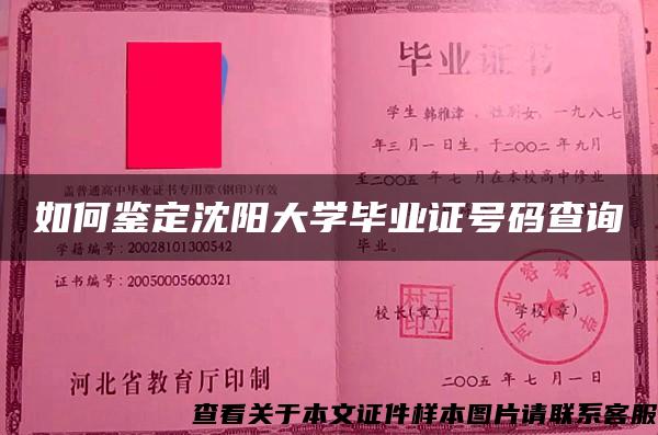 如何鉴定沈阳大学毕业证号码查询