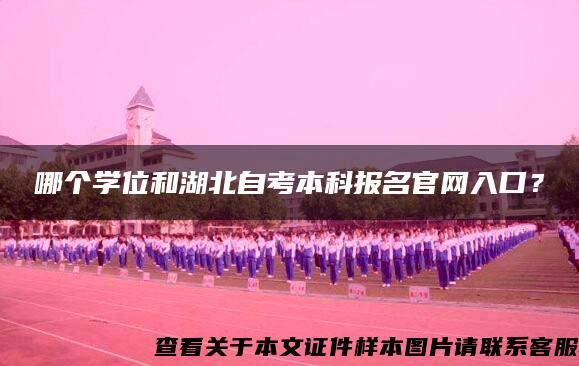 哪个学位和湖北自考本科报名官网入口？