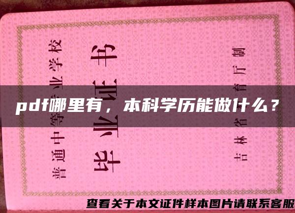 pdf哪里有，本科学历能做什么？