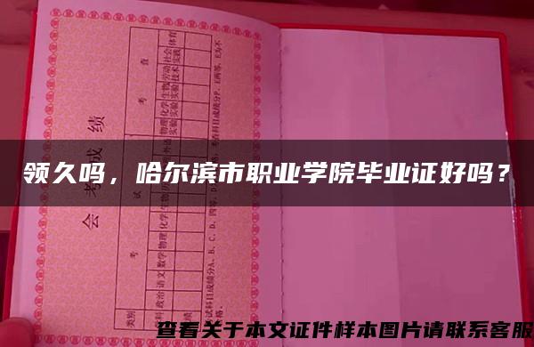 领久吗，哈尔滨市职业学院毕业证好吗？