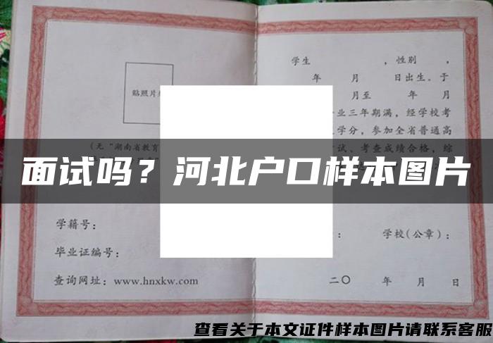 面试吗？河北户口样本图片