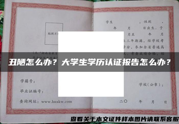 丑陋怎么办？大学生学历认证报告怎么办？