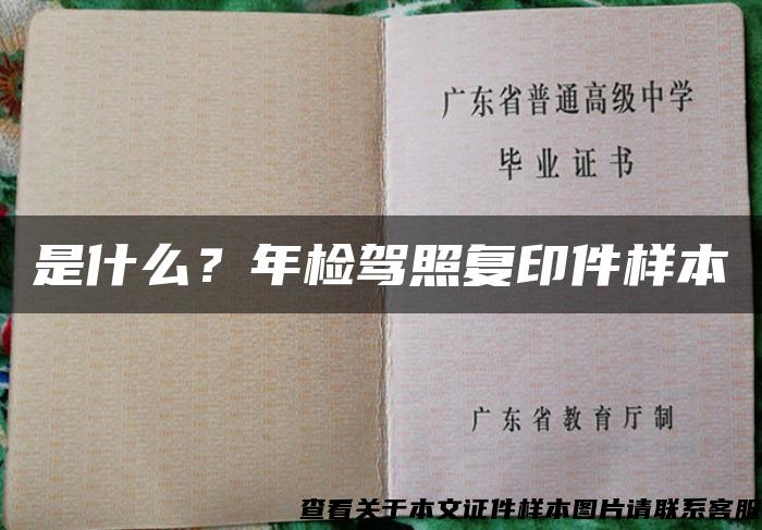 是什么？年检驾照复印件样本