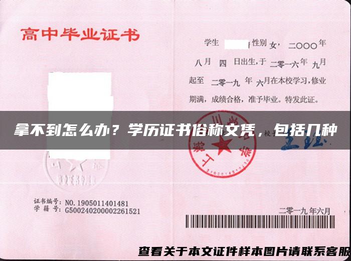 拿不到怎么办？学历证书俗称文凭，包括几种