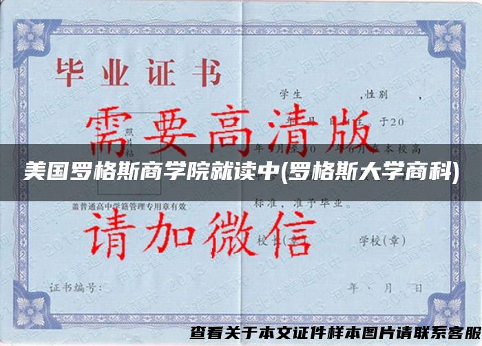 美国罗格斯商学院就读中(罗格斯大学商科)