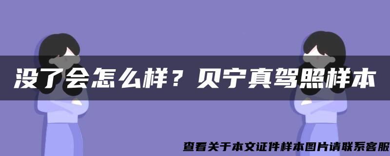 没了会怎么样？贝宁真驾照样本