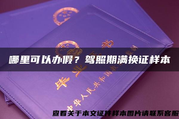 哪里可以办假？驾照期满换证样本