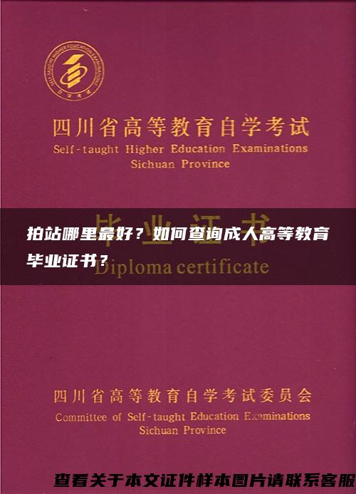 拍站哪里最好？如何查询成人高等教育毕业证书？