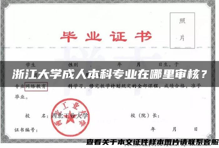 浙江大学成人本科专业在哪里审核？