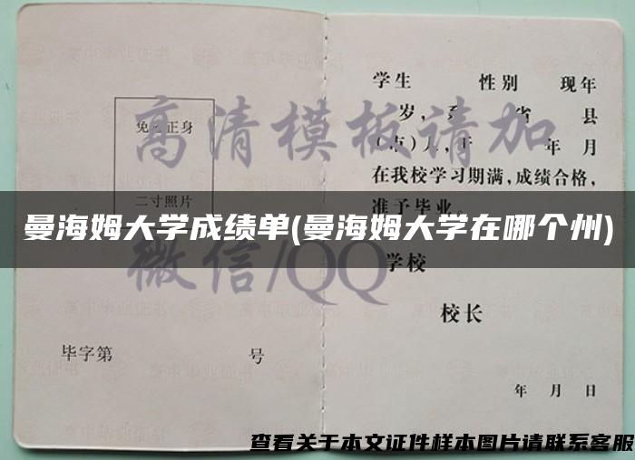 曼海姆大学成绩单(曼海姆大学在哪个州)