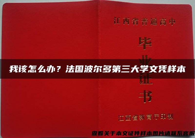 我该怎么办？法国波尔多第三大学文凭样本