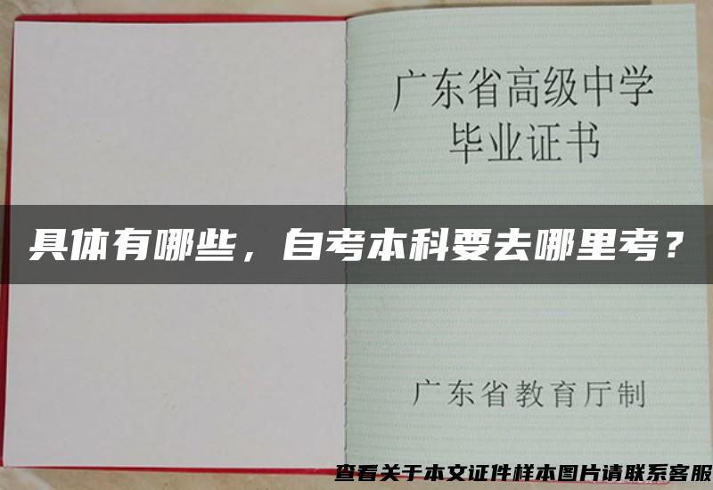 具体有哪些，自考本科要去哪里考？