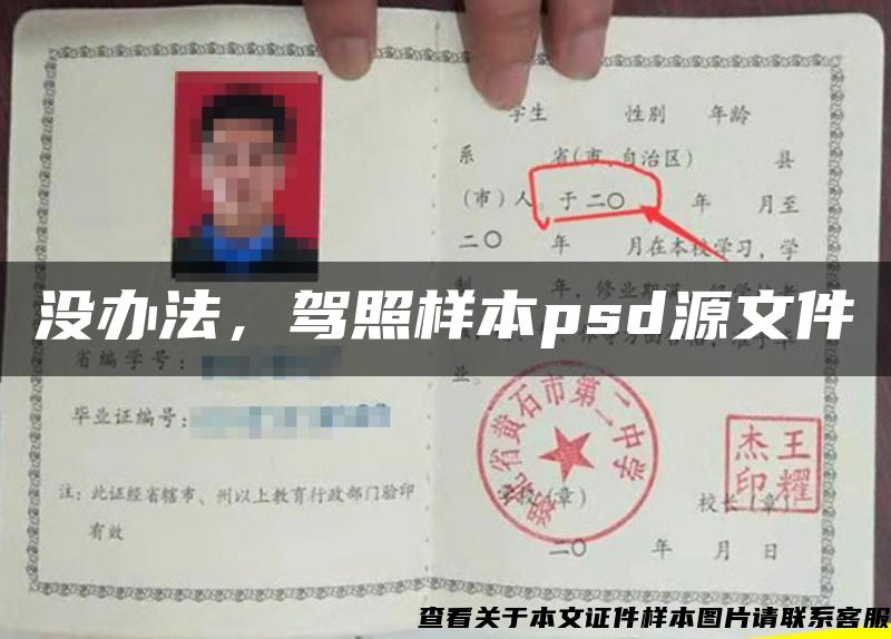 没办法，驾照样本psd源文件