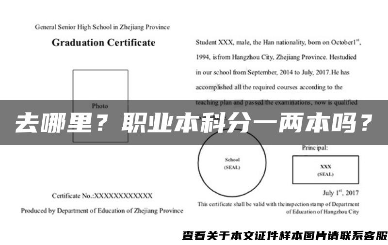 去哪里？职业本科分一两本吗？