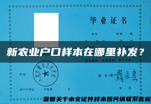 新农业户口样本在哪里补发？