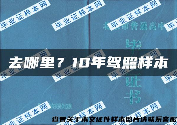 去哪里？10年驾照样本