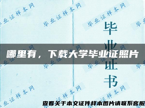 哪里有，下载大学毕业证照片