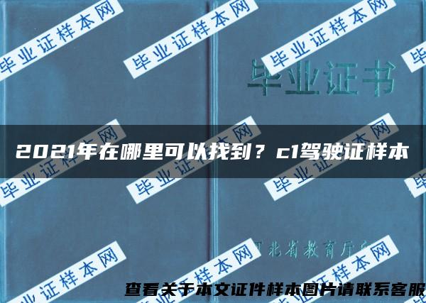 2021年在哪里可以找到？c1驾驶证样本