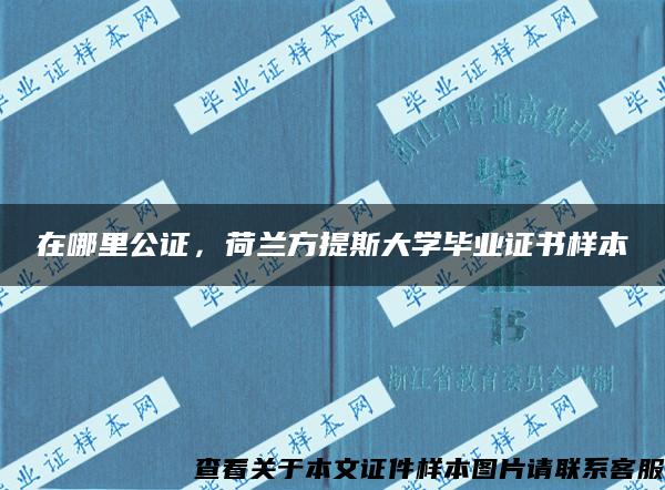 在哪里公证，荷兰方提斯大学毕业证书样本