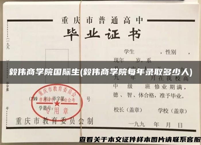 毅伟商学院国际生(毅伟商学院每年录取多少人)