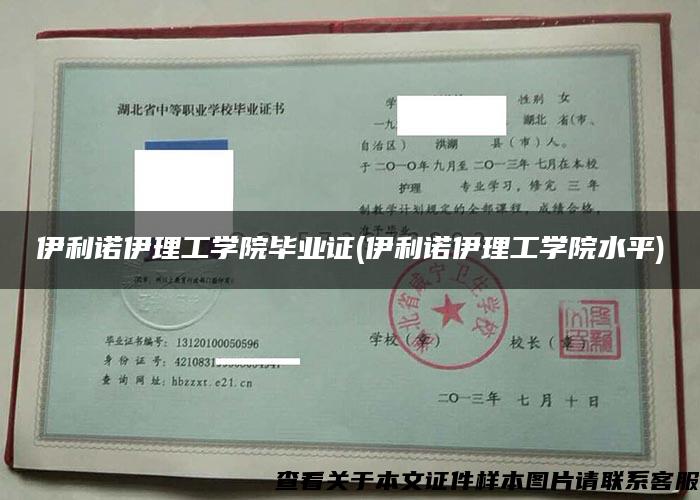 伊利诺伊理工学院毕业证(伊利诺伊理工学院水平)