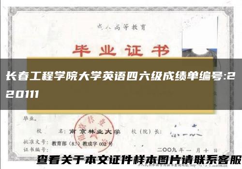 长春工程学院大学英语四六级成绩单编号:220111