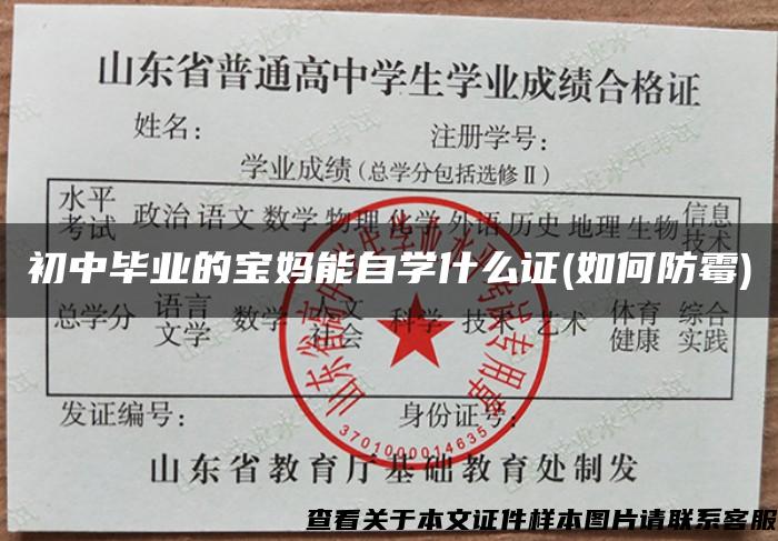 初中毕业的宝妈能自学什么证(如何防霉)