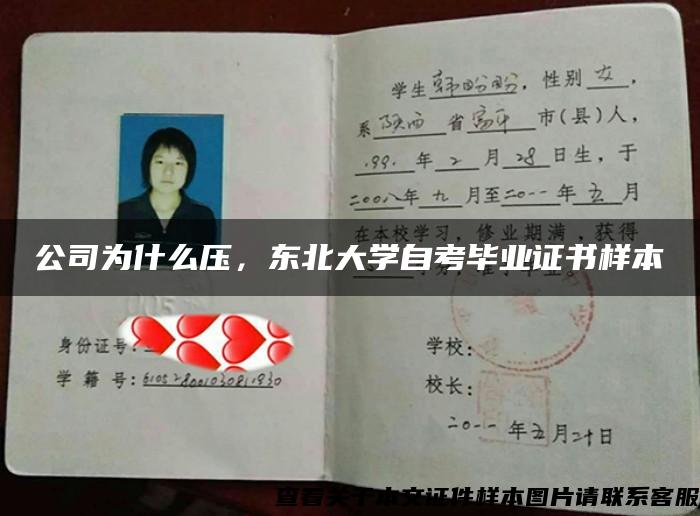 公司为什么压，东北大学自考毕业证书样本