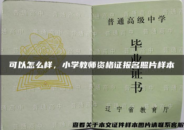 可以怎么样，小学教师资格证报名照片样本