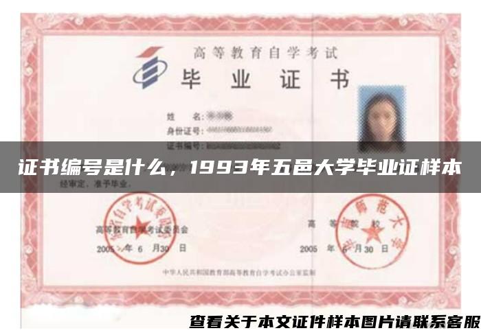 证书编号是什么，1993年五邑大学毕业证样本