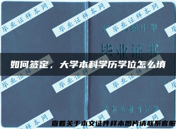 如何签定，大学本科学历学位怎么填