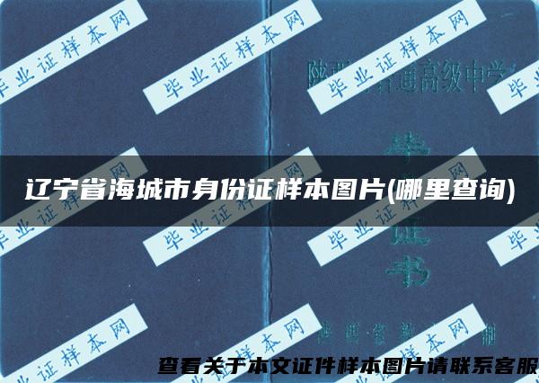 辽宁省海城市身份证样本图片(哪里查询)