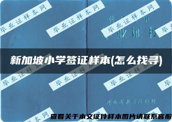 新加坡小学签证样本(怎么找寻)