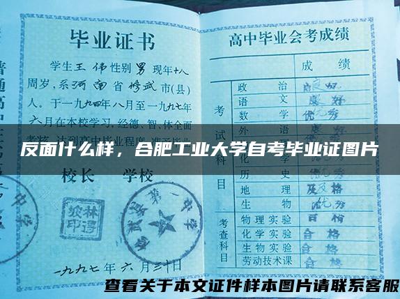 反面什么样，合肥工业大学自考毕业证图片