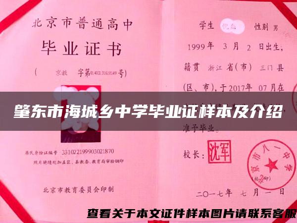 肇东市海城乡中学毕业证样本及介绍