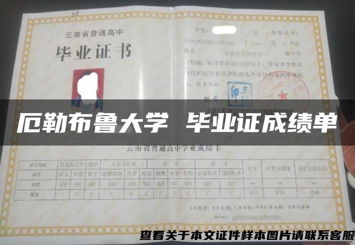 厄勒布鲁大学 毕业证成绩单