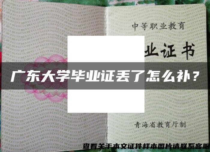 广东大学毕业证丢了怎么补？