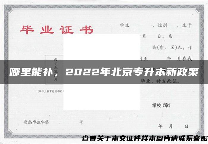 哪里能补，2022年北京专升本新政策