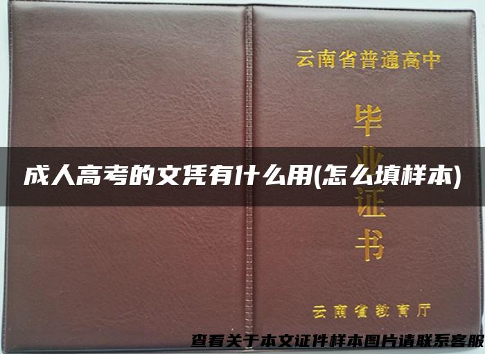 成人高考的文凭有什么用(怎么填样本)