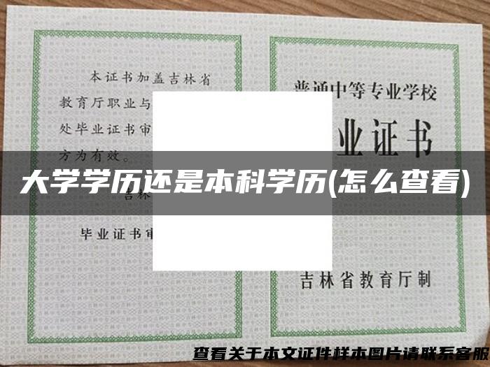 大学学历还是本科学历(怎么查看)