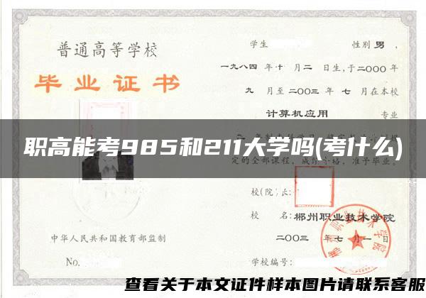 职高能考985和211大学吗(考什么)