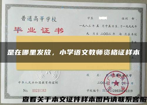 是在哪里发放，小学语文教师资格证样本